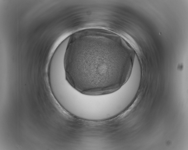 X0000096411196200802071648