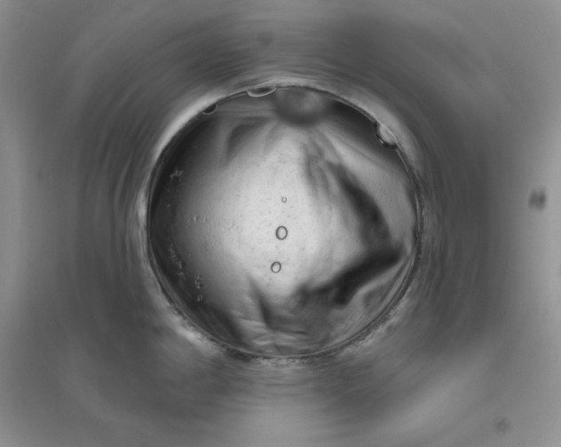 X0000096411198200802071648