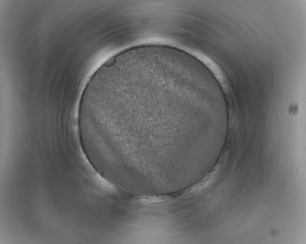 X0000096411199200802071648