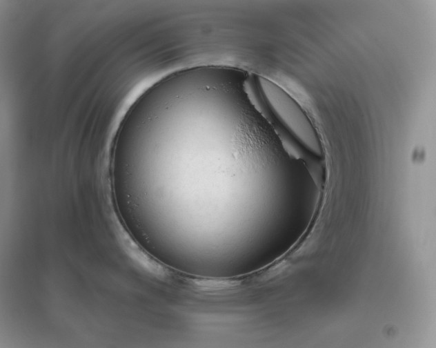 X0000096411200200802071648