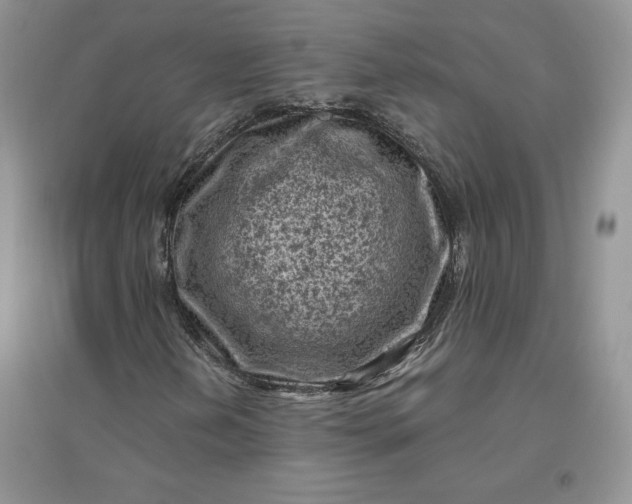 X0000096411202200802071647