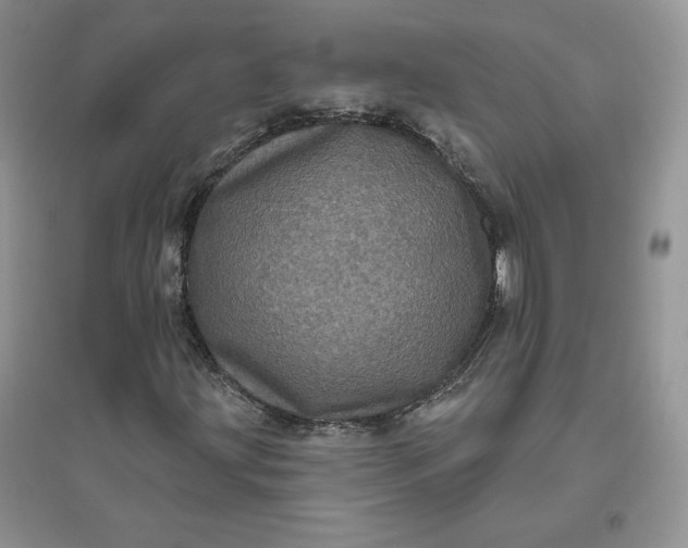 X0000096411203200802071647