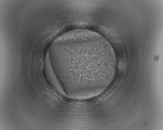 X0000096411204200802071647