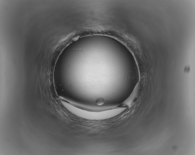 X0000096411205200802071647