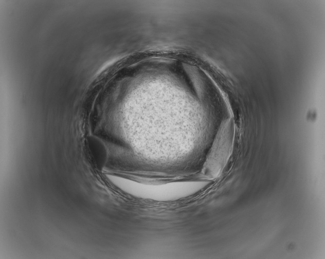 X0000096411206200802071647