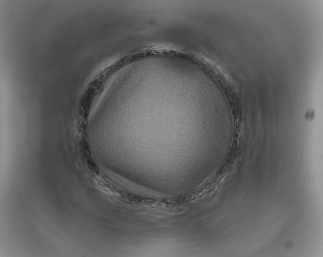 X0000096411207200802071647