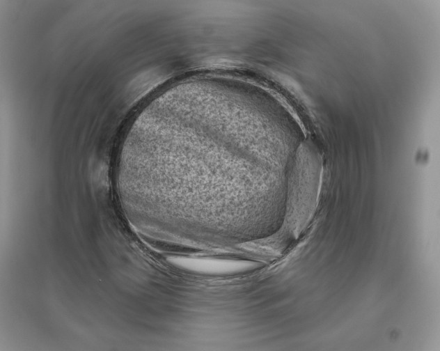 X0000096411209200802071647