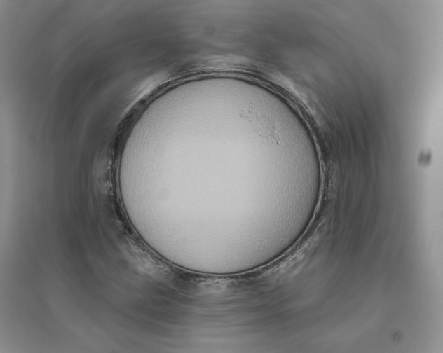 X0000096411211200802071647
