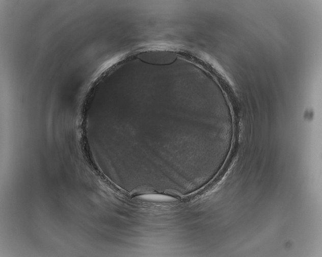 X0000096411213200802071647