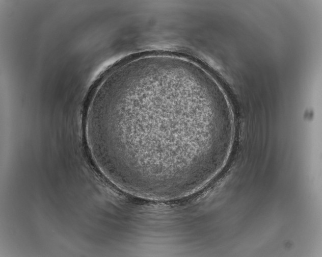 X0000096411214200802071647