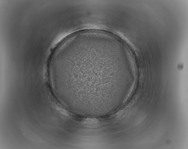 X0000096411215200802071647