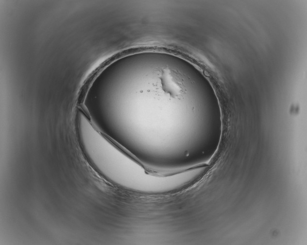 X0000096411216200802071647