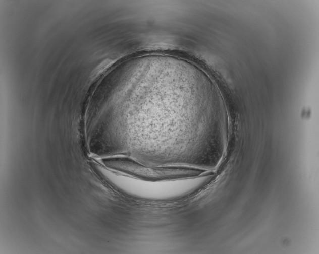 X0000096411217200802071647