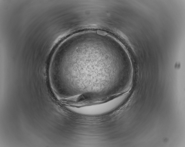 X0000096411218200802071647