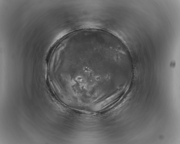 X0000096411219200802071647