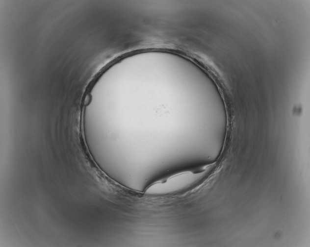 X0000096411220200802071647