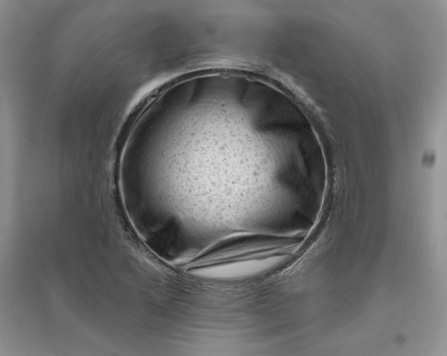 X0000096411222200802071647