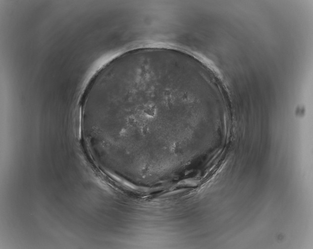 X0000096411223200802071647