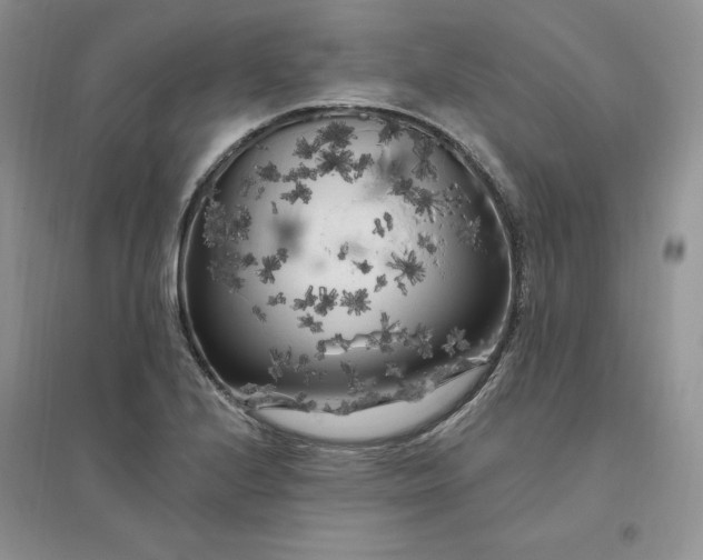 X0000096411224200802071647