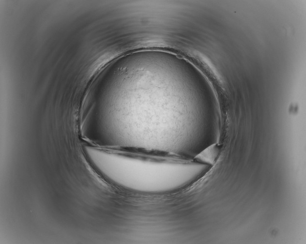 X0000096411225200802071647