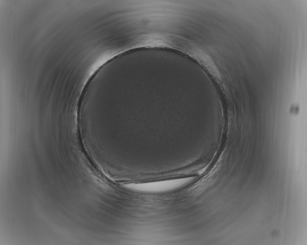 X0000096411226200802071647
