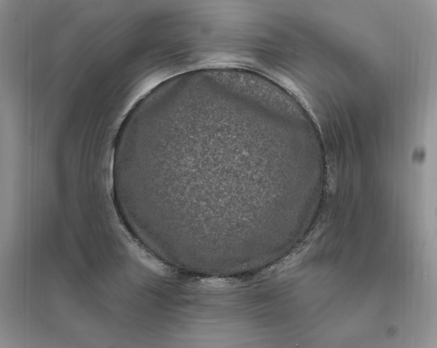 X0000096411227200802071647