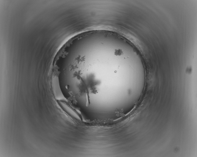 X0000096411228200802071647