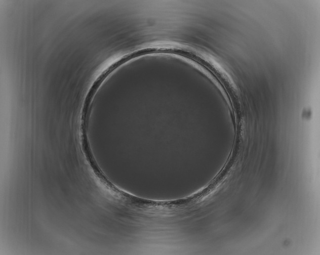 X0000096411229200802071648