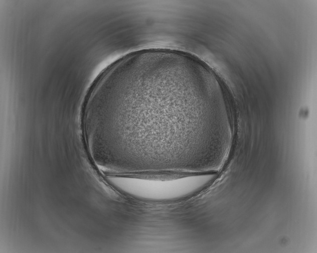 X0000096411230200802071648