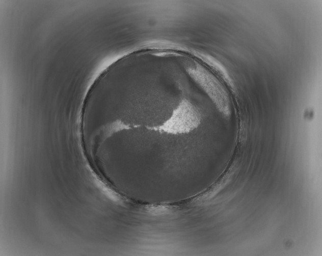 X0000096411231200802071648