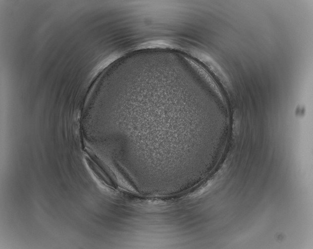 X0000096411233200802071648