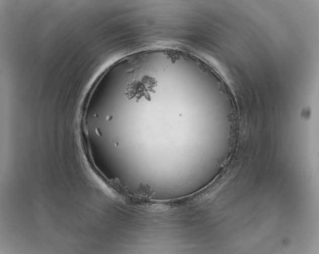 X0000096411235200802071648