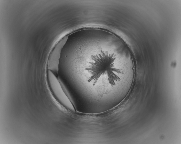 X0000096411237200802071648