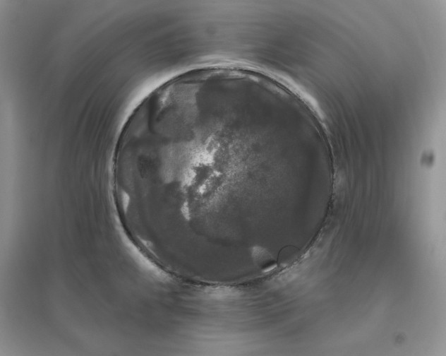 X0000096411239200802071648