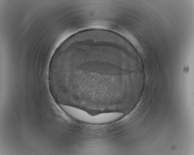 X0000096411240200802071648