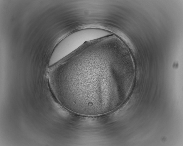 X0000096411241200802071648