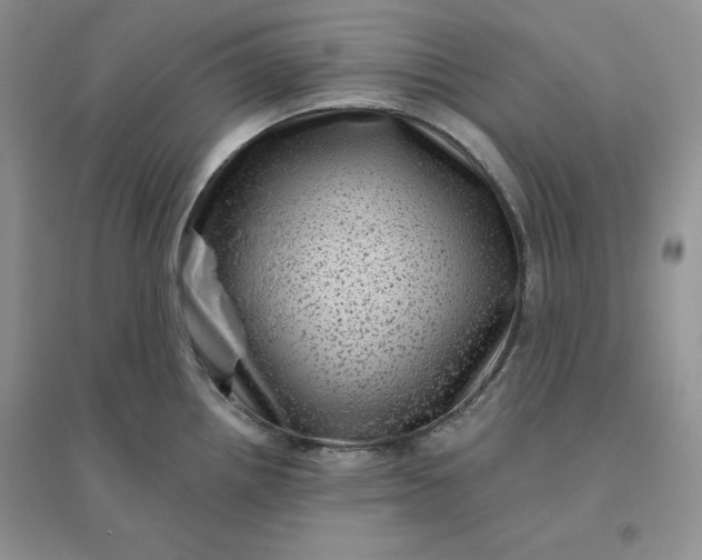 X0000096411242200802071648