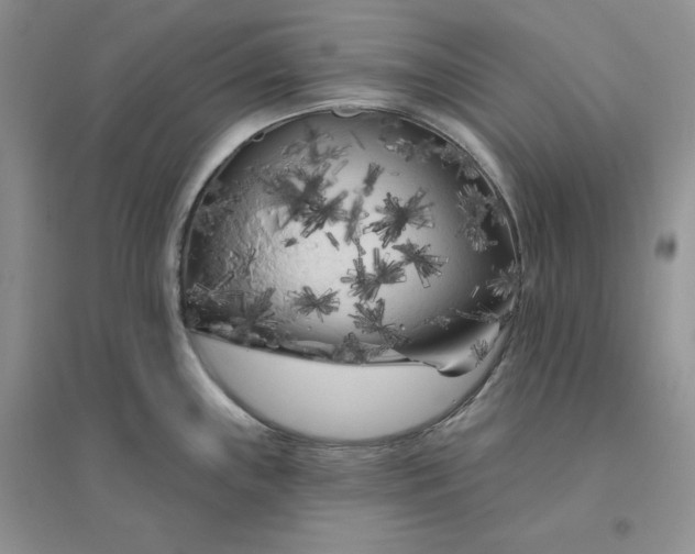 X0000096411243200802071648