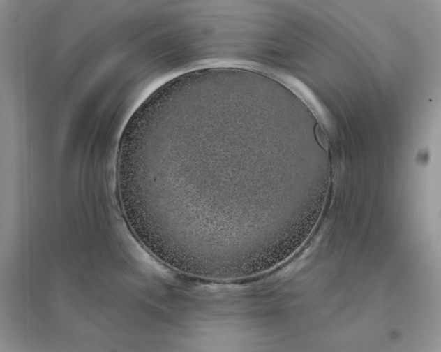 X0000096411244200802071648
