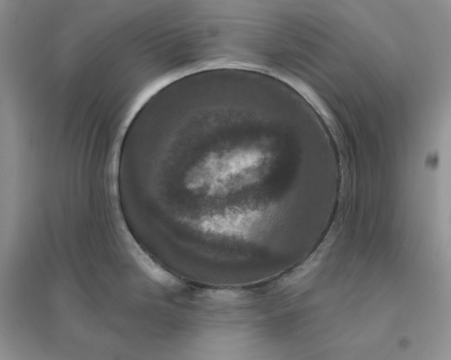 X0000096411246200802071648