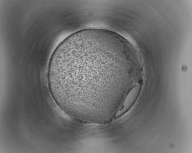 X0000096411248200802071648