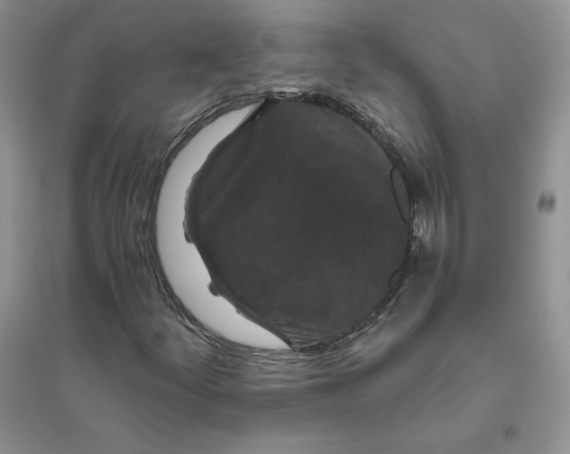 X0000096411252200802071647