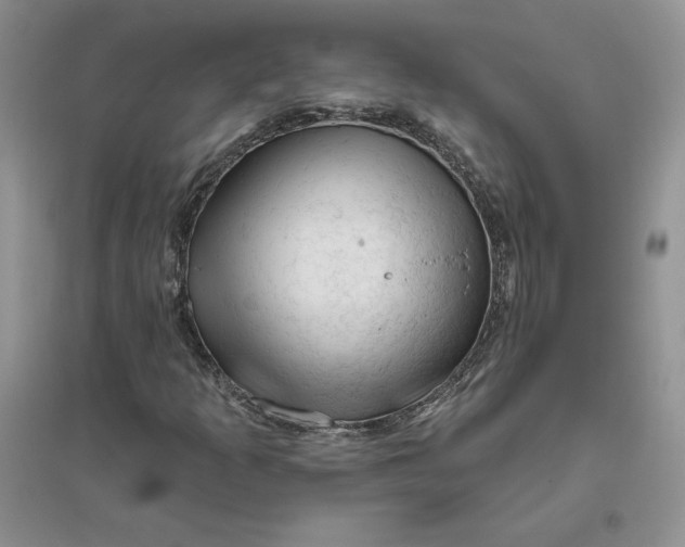 X0000096411253200802071647