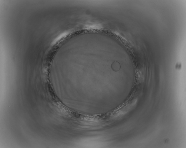 X0000096411254200802071647
