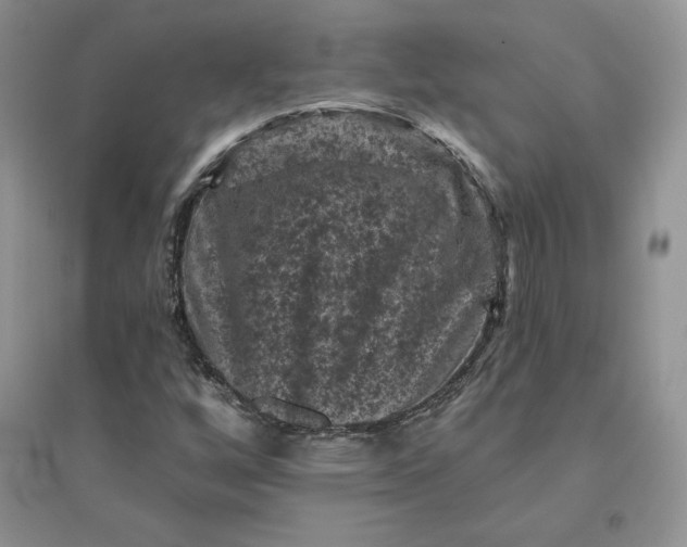 X0000096411256200802071647