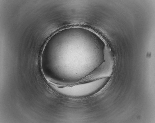 X0000096411257200802071647