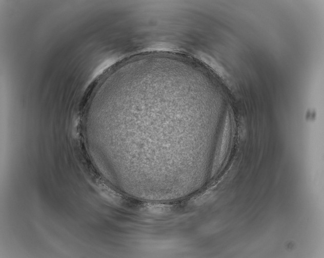 X0000096411258200802071647