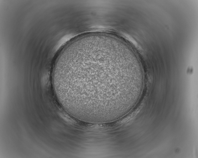 X0000096411259200802071647