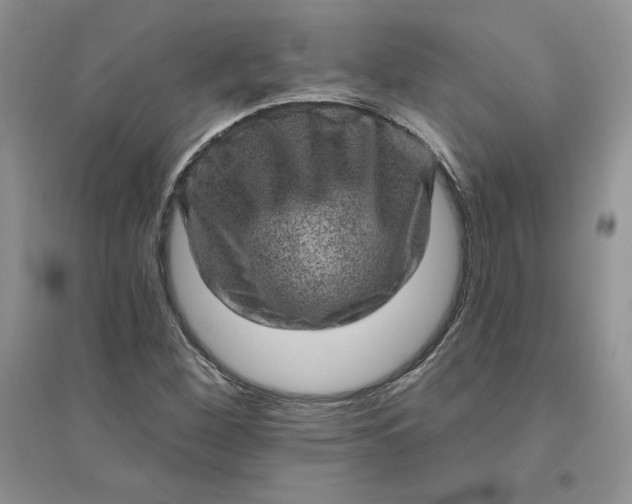 X0000096411260200802071647