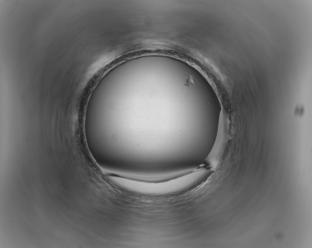 X0000096411261200802071647